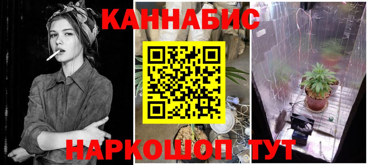Конопля планчик Баксан